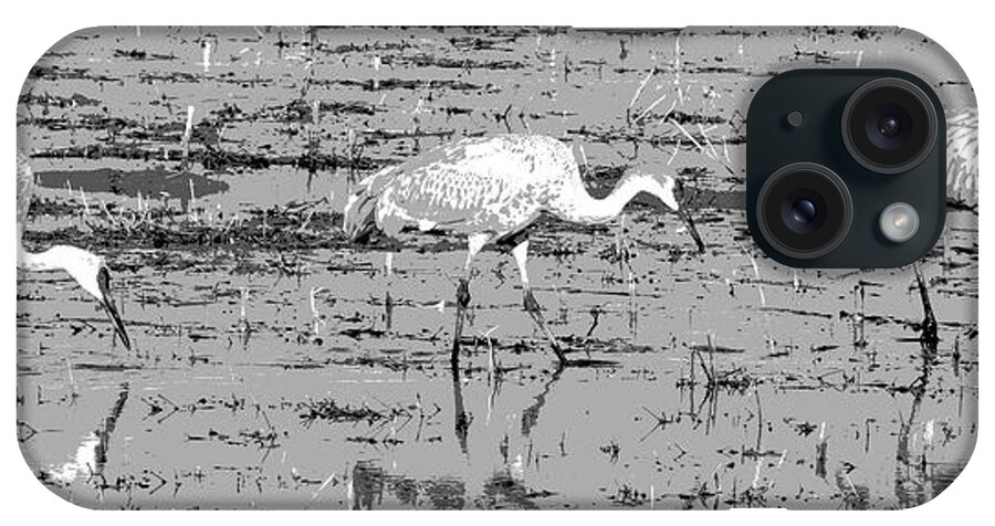 Bosque De Apache iPhone Case featuring the photograph Trio of Cranes by Marla Craven