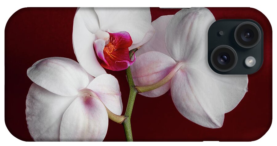 Flower iPhone Case featuring the photograph Trio of Orchids by Tom Mc Nemar