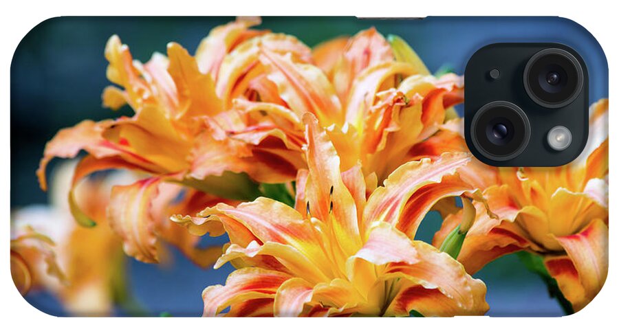 Lilies iPhone Case featuring the photograph Triple Lilies by Linda Segerson