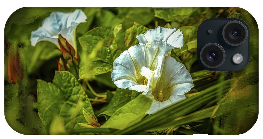 Bindweed iPhone Case featuring the photograph Triple white #g5 by Leif Sohlman