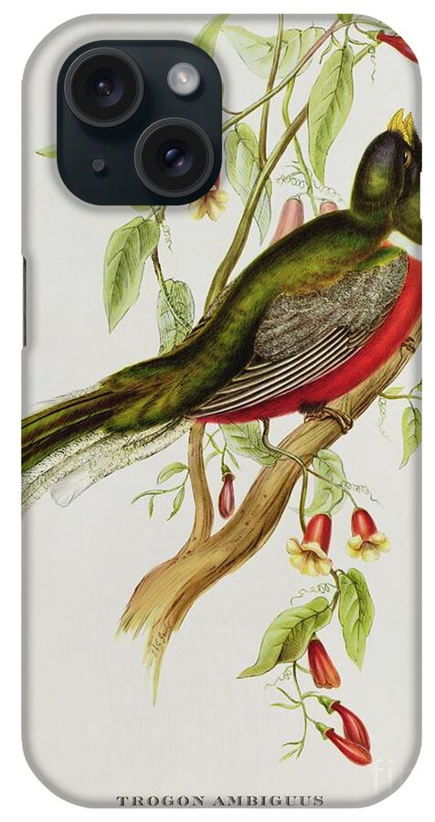Trogon iPhone Case featuring the painting Trogon Ambiguus by John Gould