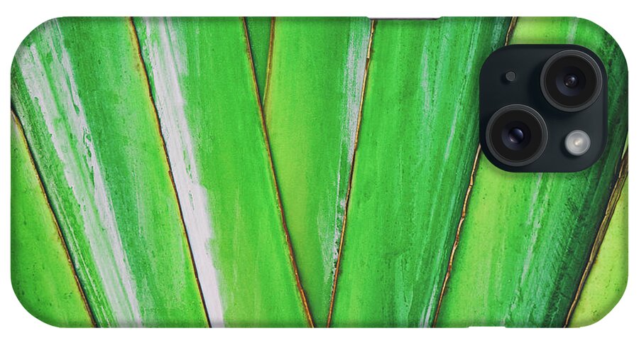 Plant iPhone Case featuring the photograph Tropical Abstract by Scott Pellegrin
