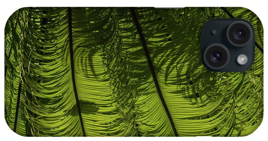 Georgia Mizuleva iPhone Case featuring the photograph Tropical Green Rhythms - Feathery Fern Fronds - Horizontal View Down Right by Georgia Mizuleva