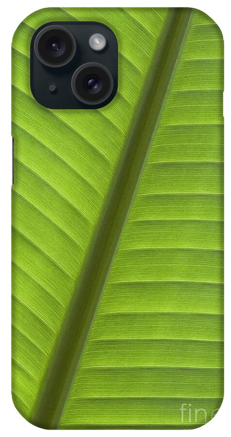 Abstract iPhone Case featuring the photograph Tropical Leaf Detail by Joe Carini - Printscapes