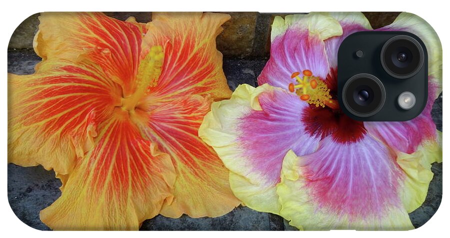 Hibiscus iPhone Case featuring the photograph Tropical Pair by Jenny Lee