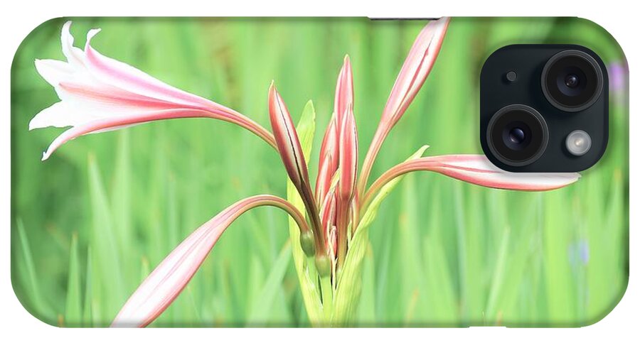 Flowers iPhone Case featuring the photograph Trumpet by Merle Grenz