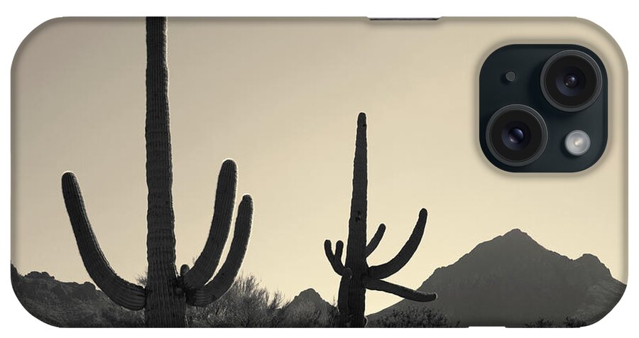 Landscape iPhone Case featuring the photograph Tucson IV Toned by David Gordon
