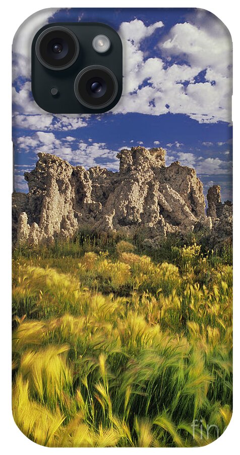Dave Welling iPhone Case featuring the photograph Tufas And Wild Grasses Mono Lake State Park California by Dave Welling