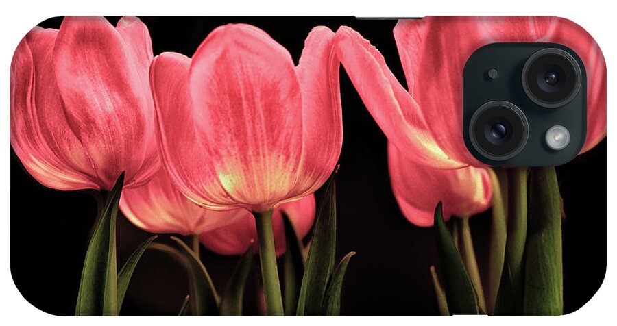 Red Tulip iPhone Case featuring the photograph Tuilp by Dennis Dugan