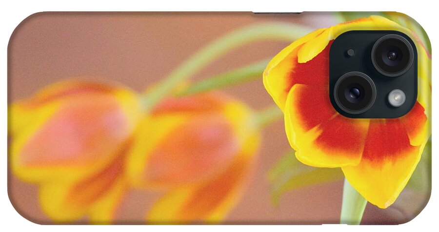 Flower iPhone Case featuring the photograph Tulip Beauty by Deborah Crew-Johnson