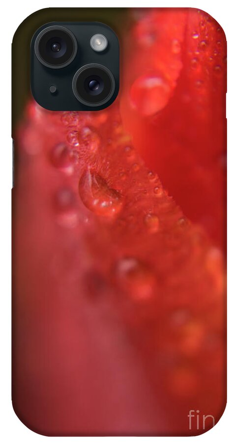 Tulip iPhone Case featuring the photograph Tulip-droplets-1843 by Steve Somerville