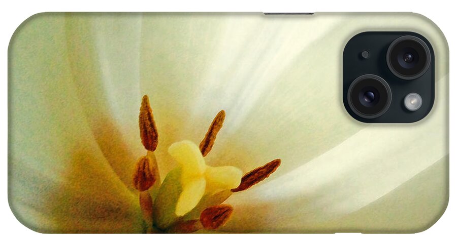 Tulip iPhone Case featuring the photograph Tulip Glow by Gwyn Newcombe