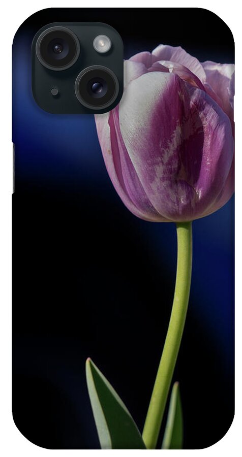 Tulips iPhone Case featuring the photograph Tulip by Jerry Gammon