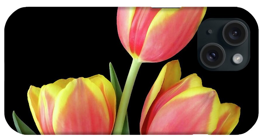 Tulip iPhone Case featuring the photograph Tulip Passion by Johanna Hurmerinta
