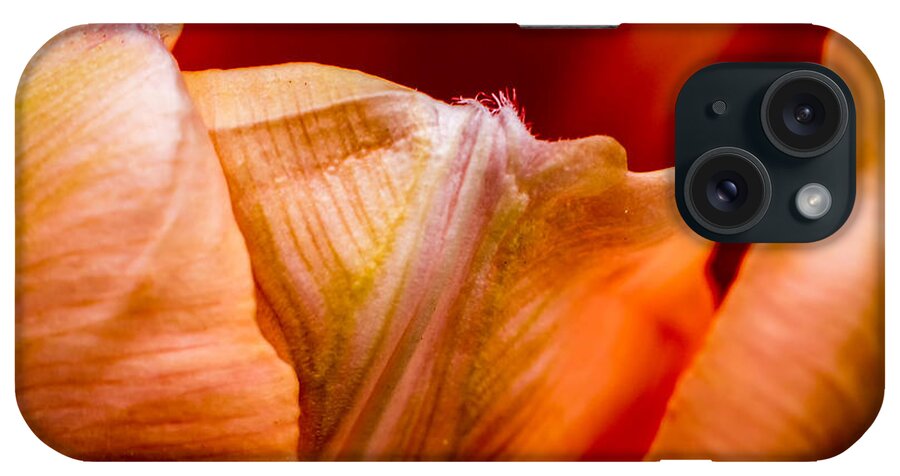 Jay Stockhaus iPhone Case featuring the photograph Tulip Petals by Jay Stockhaus