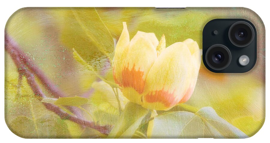 Tulip Poplar iPhone Case featuring the photograph Tulip Poplar by Patricia Montgomery