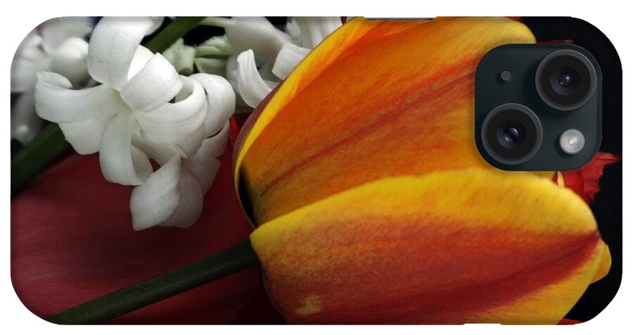 Tulip iPhone Case featuring the photograph Tulip Spring by Lisa Kaiser