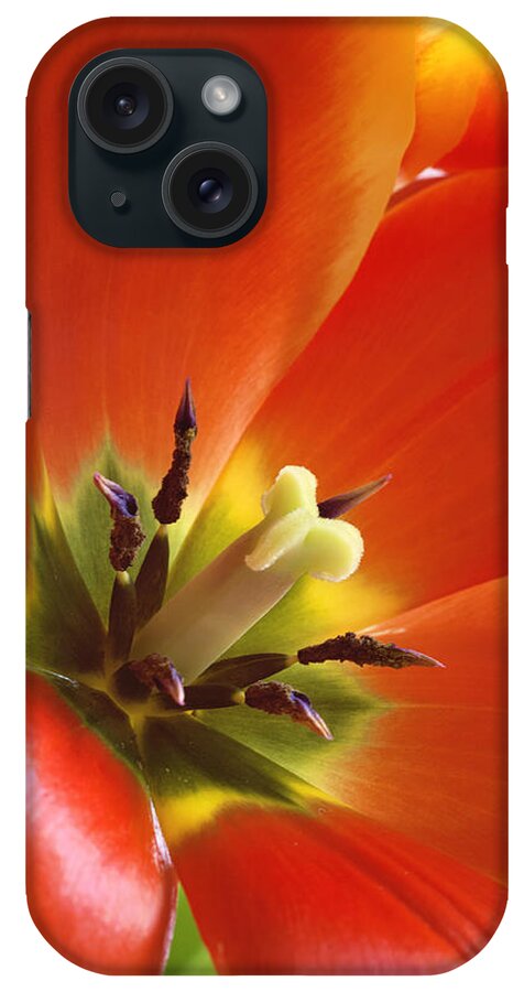 Orange Flower iPhone Case featuring the photograph Tuliplicious by Jill Love