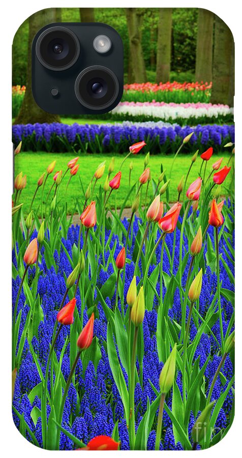 Tulip iPhone Case featuring the photograph Tulips and bluebells by Anastasy Yarmolovich