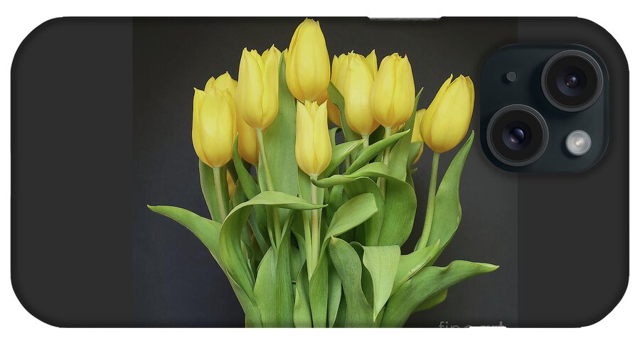 Tulips iPhone Case featuring the photograph Tulips by the Dozen by Ann Horn