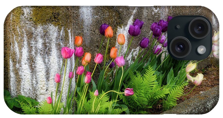 Tulips iPhone Case featuring the photograph Tulips in Ruin by Michael Hubley