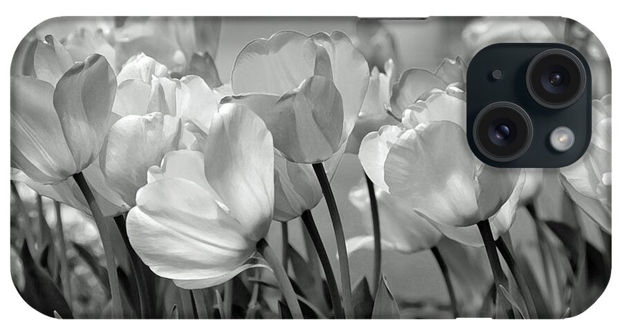 Tulips iPhone Case featuring the photograph Tulips by JoAnn Lense
