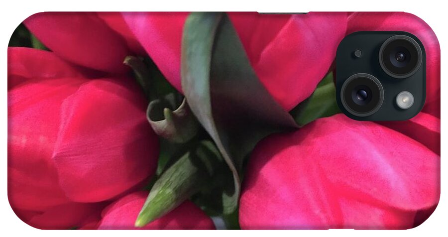 Tulip iPhone Case featuring the photograph Tulips-Macro by Marian Lonzetta