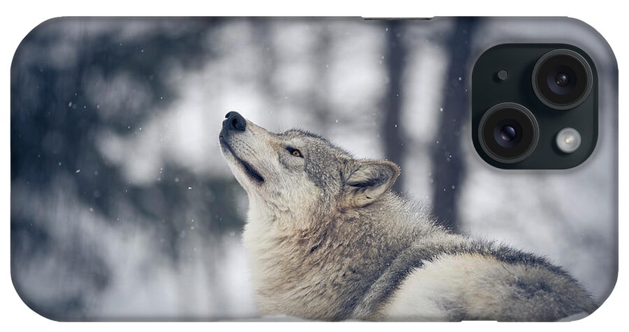 Snow iPhone Case featuring the photograph Tundra Wolf Winter by Scott Slone
