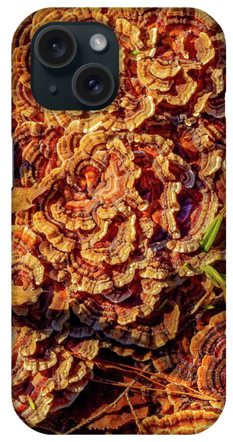 Mushroom iPhone Case featuring the photograph Turkey Tail Mushrooms by Bob Orsillo