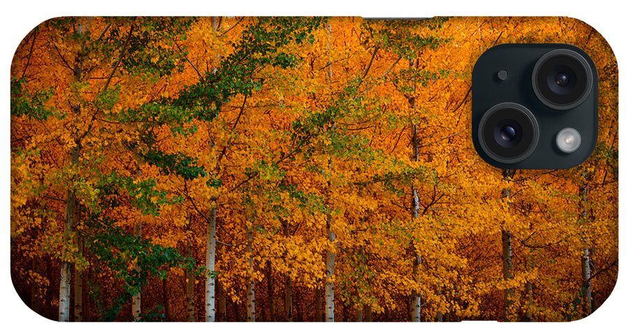 Fall iPhone Case featuring the photograph Turning into Gold by Dan Mihai