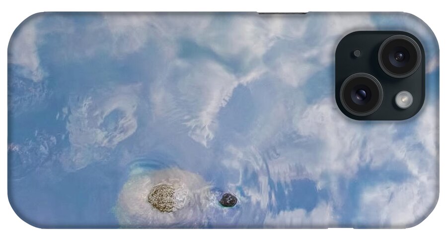 Amelia Island iPhone Case featuring the photograph Turtle In The Sky by Richard Goldman