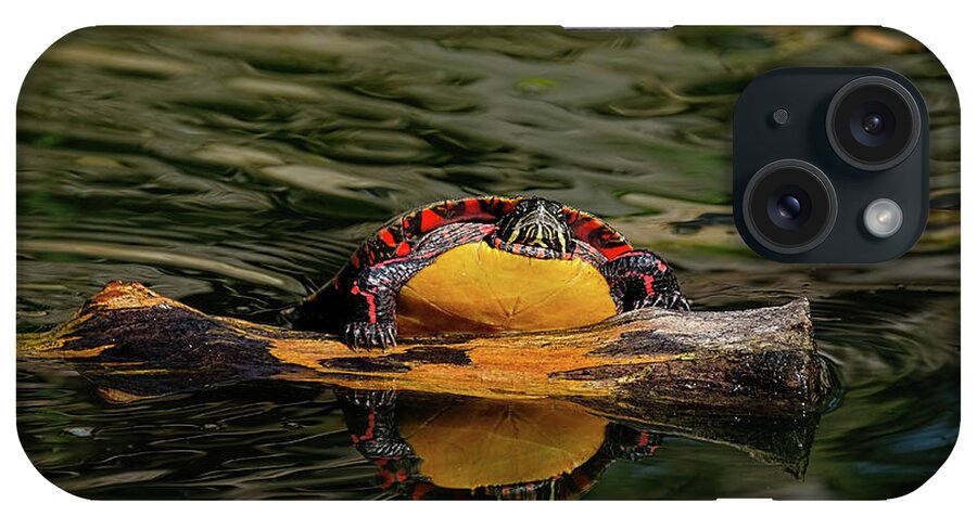 Turtle iPhone Case featuring the photograph Turtle taking a swim by Ronda Ryan