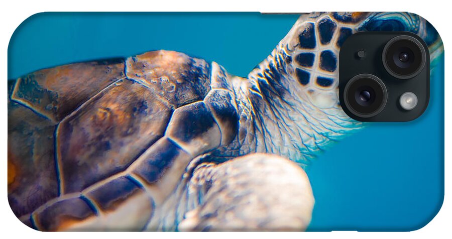 Hawaii iPhone Case featuring the photograph Turtle town by Ian Sempowski