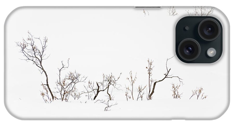 Twigs iPhone Case featuring the photograph Twigs in Snow by Bryan Carter