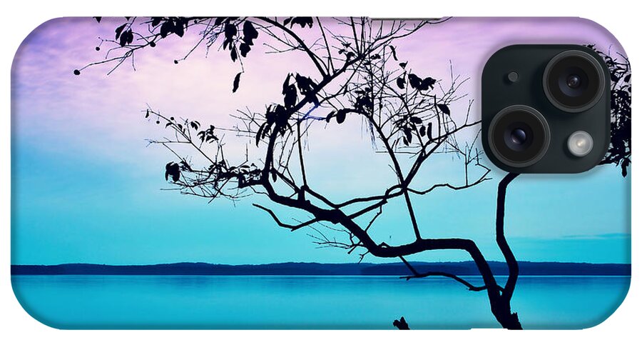Tree iPhone Case featuring the photograph Twilight Musings by Kelly Nowak