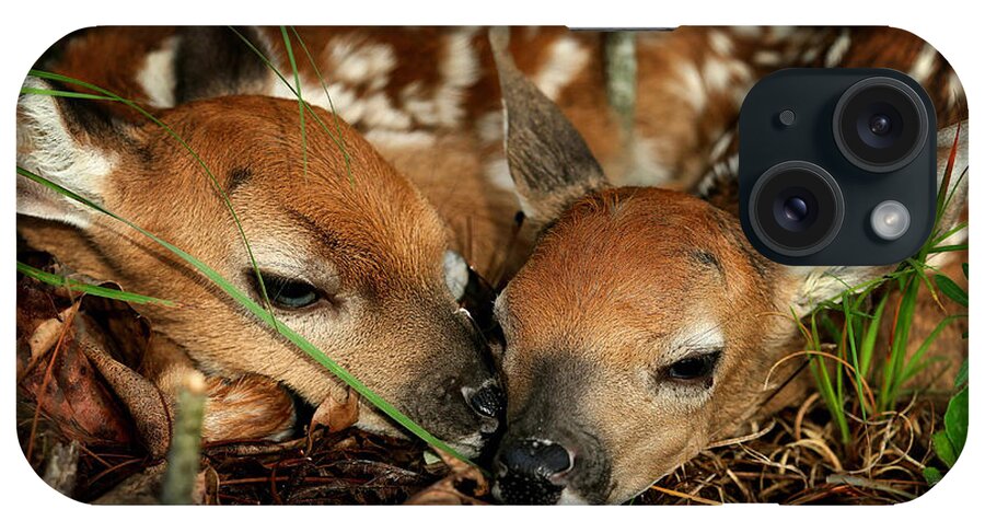 Whitetail Deer iPhone Case featuring the photograph Twin Newborn Fawns by Michael Dougherty