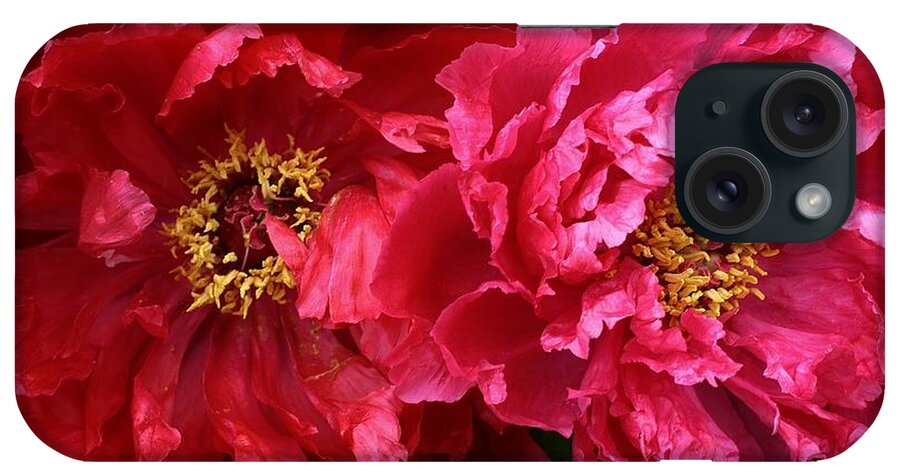 Flora iPhone Case featuring the photograph Twin Peonies by Bruce Bley