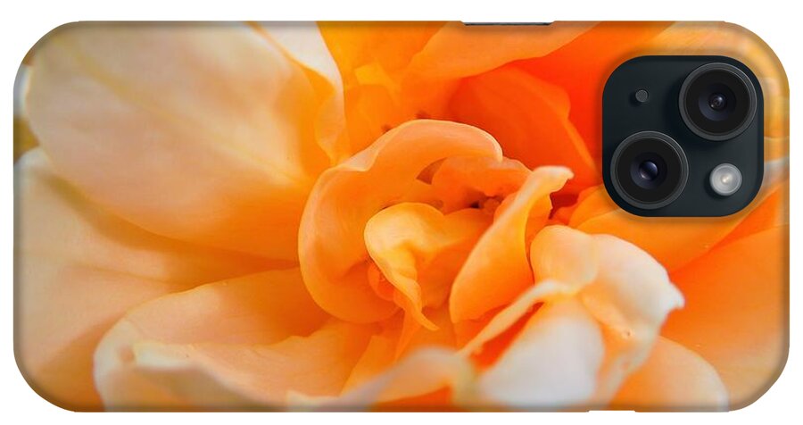 Rose iPhone Case featuring the photograph Twisted Dreamsicle by Chad and Stacey Hall