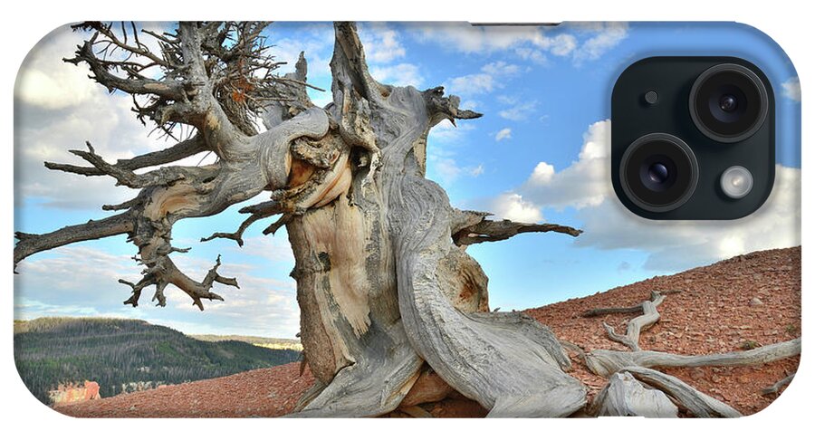Dixie National Forest iPhone Case featuring the photograph Twisted Forest Bristlecone Pine by Ray Mathis