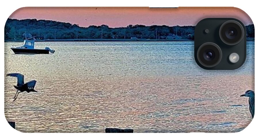 Sunset iPhone Case featuring the photograph Two Baby Herons by Lauren Fitzpatrick