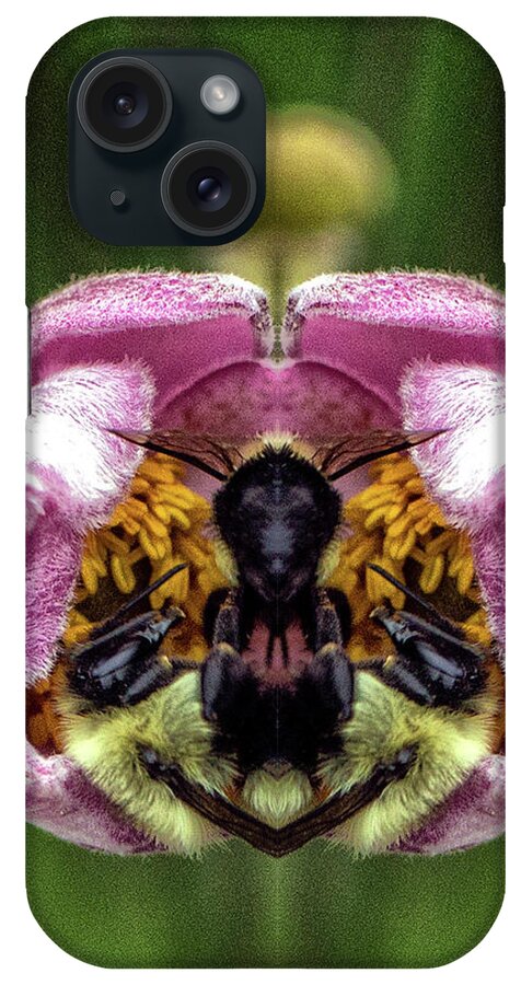 Mirror Image Pareidolia iPhone Case featuring the photograph Two Bees Pareidolia by Constantine Gregory
