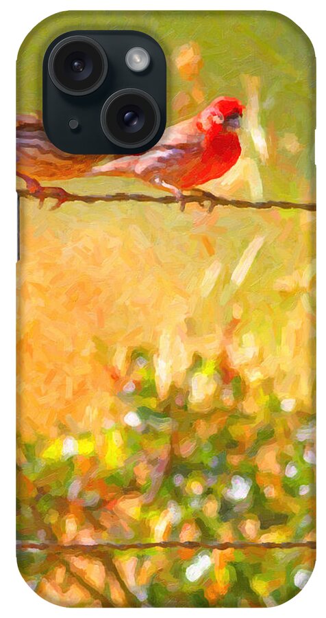 Bird iPhone Case featuring the photograph Two Birds On A Wire by Wingsdomain Art and Photography