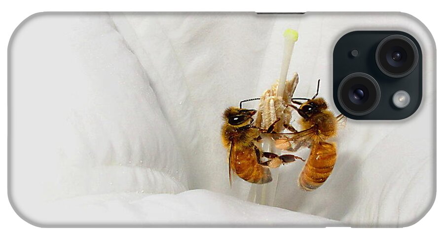 Bee iPhone Case featuring the photograph Two Busy by Joyce Dickens