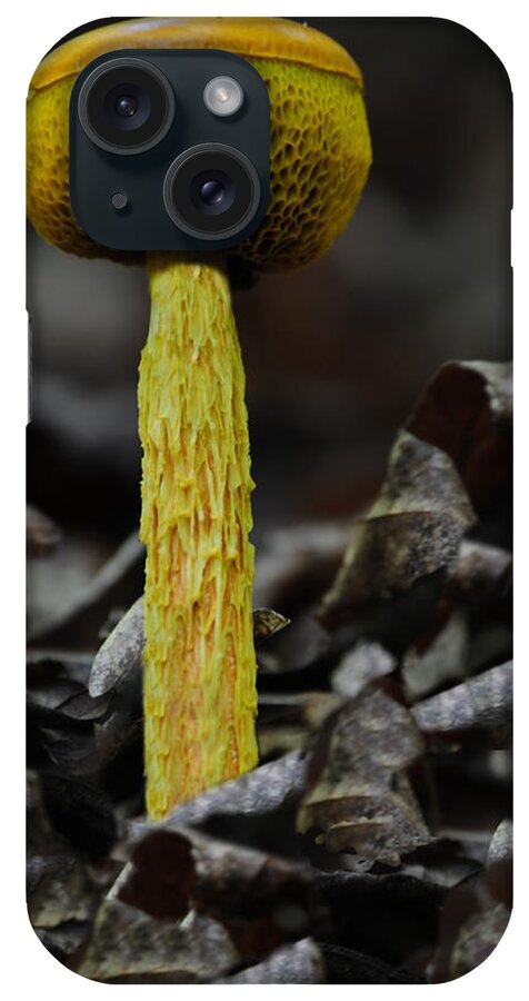 Mushroom iPhone Case featuring the photograph Two Colored Bolete by Eric Liller