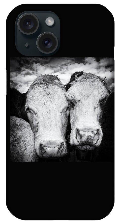 Cow iPhone Case featuring the photograph Two cows black and white by Matthias Hauser