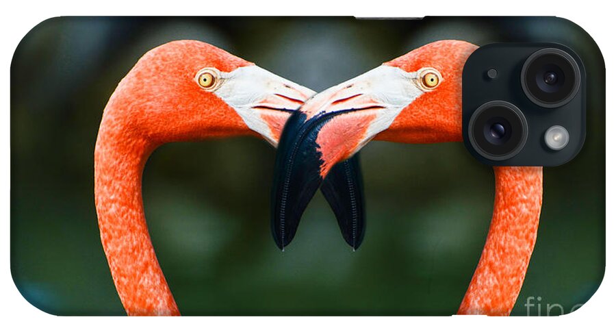 Flamingos iPhone Case featuring the photograph Two Heads Are Better Than One by Judy Wolinsky