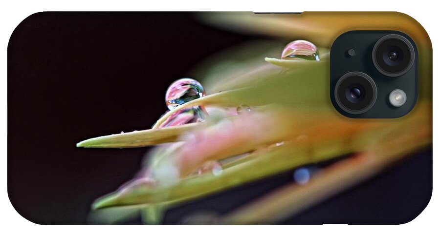 Raindrops iPhone Case featuring the photograph Two little Jewel by Yumi Johnson