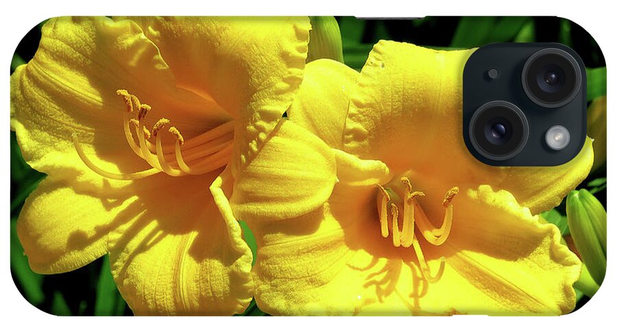 Lily iPhone Case featuring the photograph Two of a Kind by Linda Stern