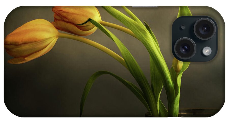 Tulips iPhone Case featuring the photograph Two Plus by John Anderson