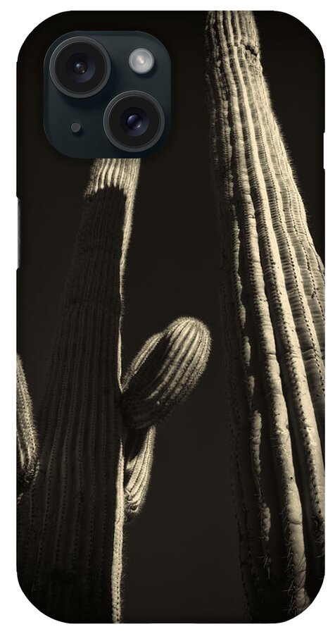 Arizona iPhone Case featuring the photograph Two Tall Saguaros by Roger Passman